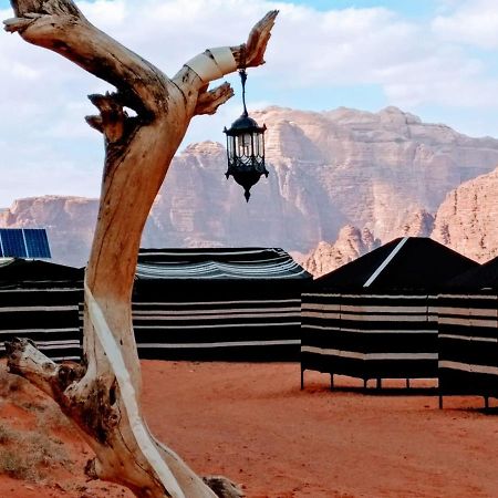 Desert Tree Camp&Tours Ουάντι Ραμ Εξωτερικό φωτογραφία