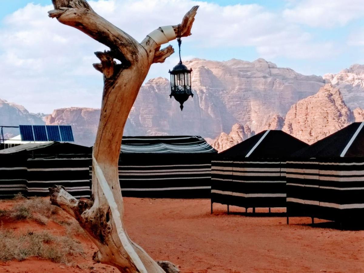 Desert Tree Camp&Tours Ουάντι Ραμ Εξωτερικό φωτογραφία