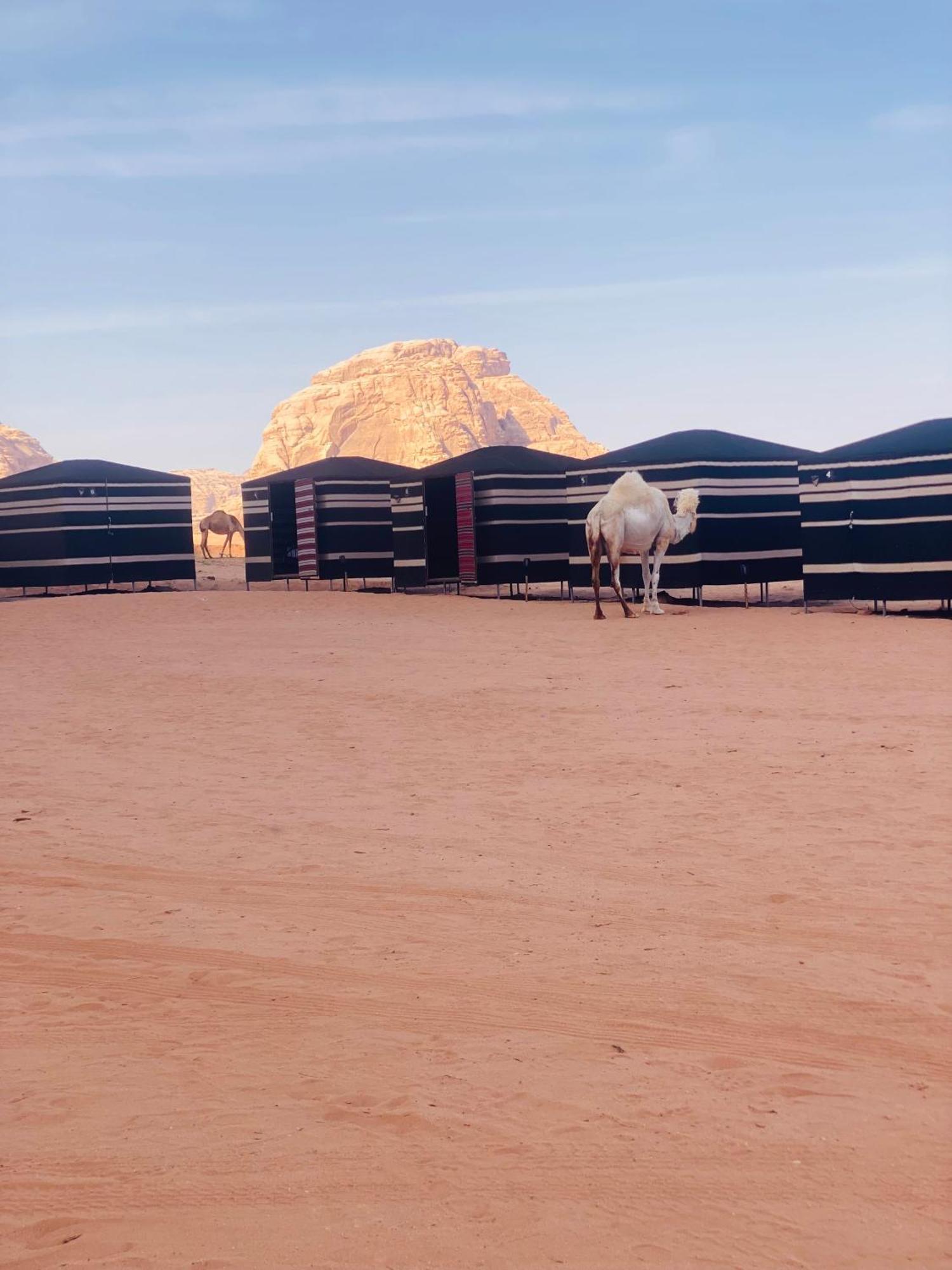 Desert Tree Camp&Tours Ουάντι Ραμ Εξωτερικό φωτογραφία